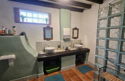 Experience Alpacas in Andalucia - Foto 14