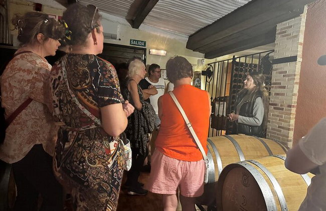 Alicante; Recorrido Vinícola Bodega Cata Vinos, Comida y Traslado - Foto 18