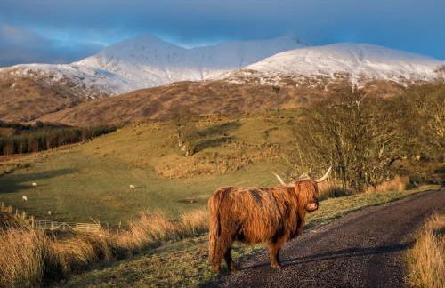 Ballimore Farm Estate - House with heated pool - Foto 19