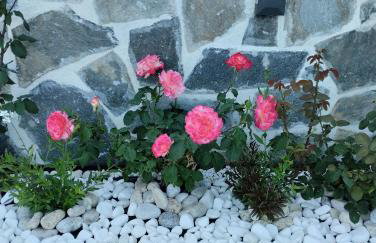 Thanos ,Rooms and Apartments - Foto 24