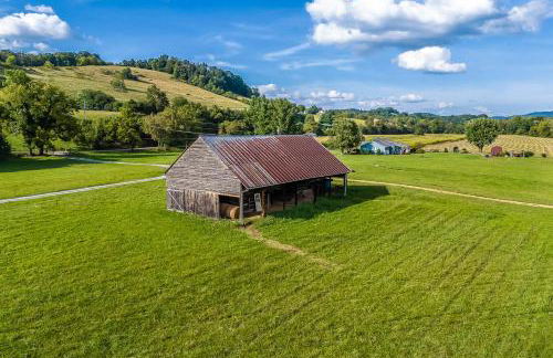 Dock! Riverfront Anglers Oasis in Elizabethton - Foto 55