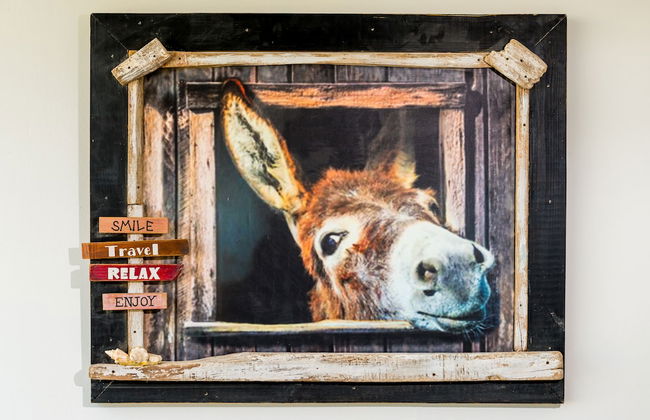 Vista Alegre by Boutique Bonaire Unique Resorts - Foto 36