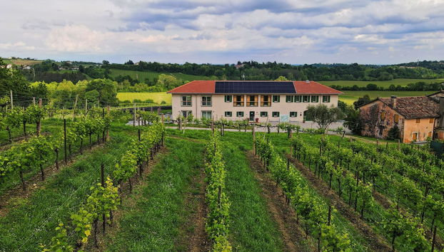 Tenuta Mani Sagge - Foto 2, Imagen principal