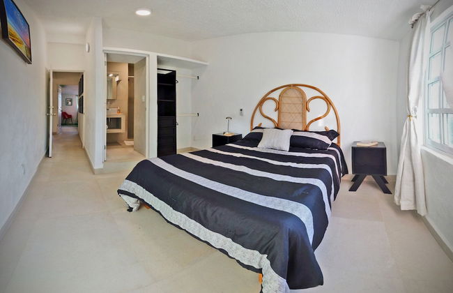 HominngBird - Foto 16