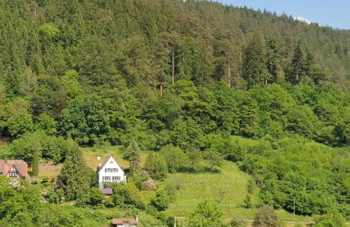 Ferienhaus Waldglück - Foto 1