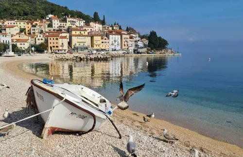 Apartman EN - Foto 45