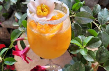 Pousada Suçuarana - Photo 51