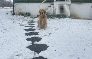 Shenandoah Holiday Chalet Fireplaces & Game Barn - Foto 26