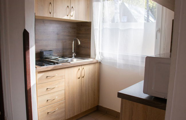 4 bedroom House in Hradec Kralove with garden - Photo 8