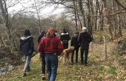 La Tiny House Terra Nostra - Foto 26