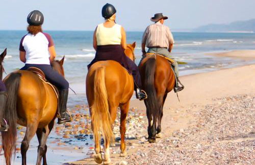 PRETTY SPITI Holiday Retreat - Photo 68