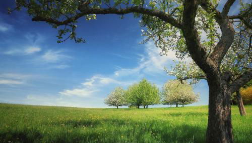 Ferienwohnung Mörlenbach - Foto 2