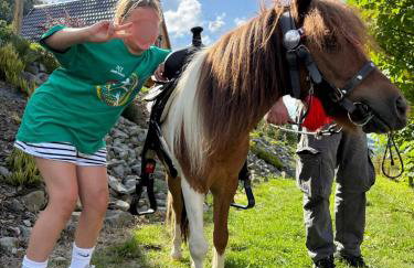 Wzgórze w Cieniu Lasu - Photo 34