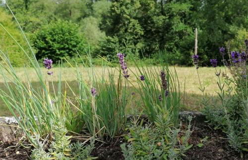 Ferienhaus Glücksmomente - Foto 19