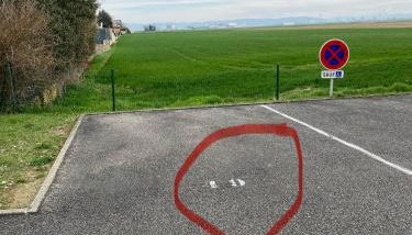 Les terrasses des myosotis - Foto 2