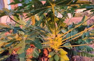 Casa Rural La Vega - Photo 42