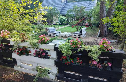 FORREST DOM w LESIE - Foto 6