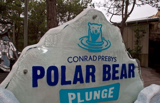 Entrada al Zoo de San Diego - Foto 4