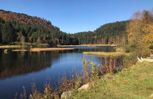 Lullaby House - Large, full comfort 5 star chalet house in the Vosges - Foto 39