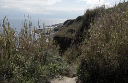 Apartment in Susak with air conditioning, W-LAN (3865-6) - Foto 38