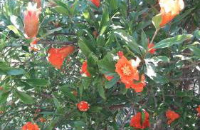 La casa di Eva - Foto 17