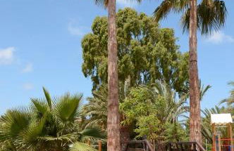 Familia Reunida Costa Cálida - Foto 43