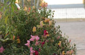 Ocean View Apartments - Foto 49