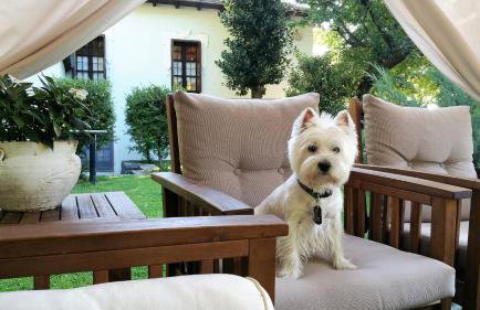 Tsagarada Stone House 1898 - Foto 50