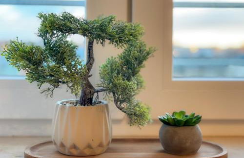 soulscape Citylight Apartments - SONNENBERG - modern, zentrumsnah, 3 Schlafzimmer, gratis WIFI - Foto 20