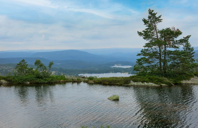 Fjellidyll - Foto 16