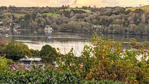 Truly Paradise Cottage - Foto 2, Garden view