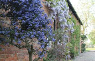 The Jockey Room Hideaway - Foto 17