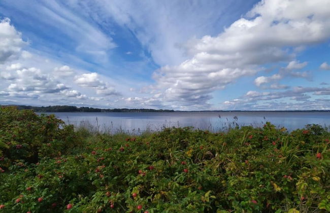 Farsighted Modern Retreat - Photo 17