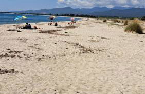 Le jardin de Domi - Foto 28