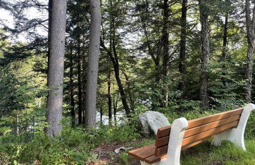 Unique Ski Rental in Berkshires Charlemont Near Hawley State Forest, Plainfield, Western Massachusetts - Foto 66