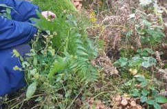 Podlaska Pieredyszka, dom na wyłączność - Foto 21