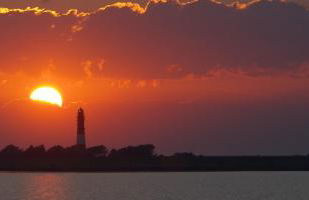 Klaus Jensen , Unter den Linden - Foto 18