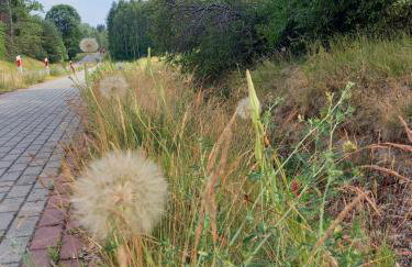 Dom Pod Sosnami - Foto 37