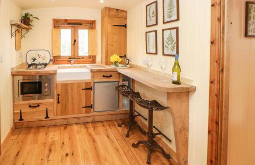 Bracken Fern - Photo 9