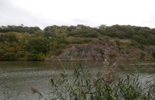 Ferienwohnung Saaleblick - Foto 9