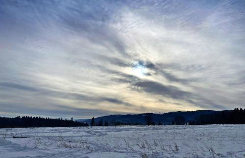 Przewietrzona Głowa - Foto 7