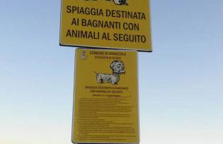 Ila La Caletta - Photo 25