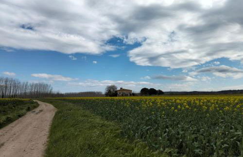 Preciosa Casa en Bordils - Foto 13
