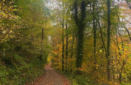 Cuckoo Cabin, Tyn Y Cwm - Photo 25