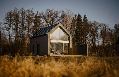 Bujanie w sitowiu - Foto 51