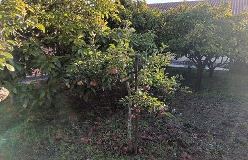 Casa com Arte - country house with swimming pool - Foto 42