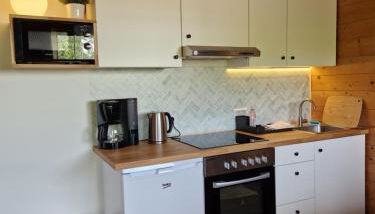 Helle und idyllische 2 Zimmer Wohnung am Rande von Berlin - Foto 5, stove, toaster