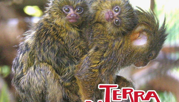 Terra Natura Benidorm - Special Winter Offer !! - Photo 3