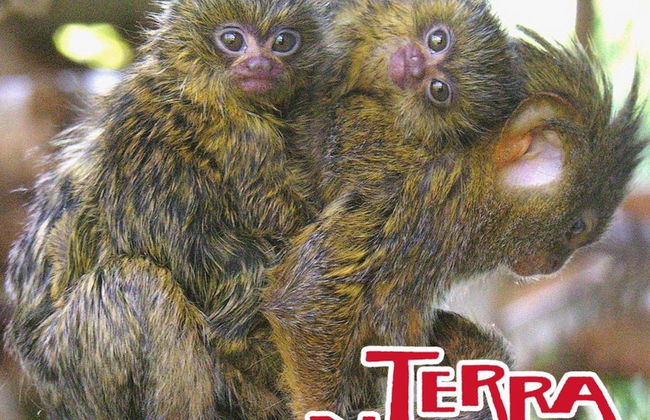 Terra Natura Benidorm - ¡¡Oferta Especial Invierno!! - Foto 3