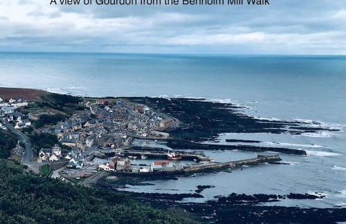 Driftwood - Photo 15